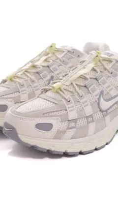 ナイキ　スニーカー　Nike p6000プレミアム　希少