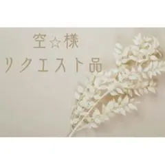 空⭐︎様専用