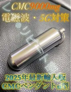 CAINS made ulmi hut [思考盗聴 5G対策電磁波対策] 2025年最新