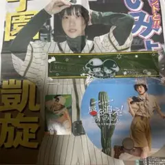 あいみょん 10th Anniversary CARD タワレコ甲子園限定カード - メルカリ