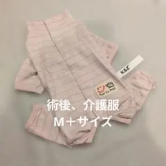 Item thumbnail for item 619b13db-a07d-4759-bf1d-2e4384b90283