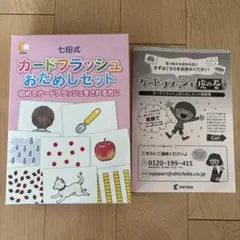美品★七田式 カードフラッシュおためしセットのサムネイル