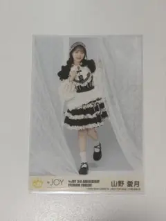 ニアジョイ 山野愛月 円盤 封入生写真 3周年コンサート Blu-ray DVD
