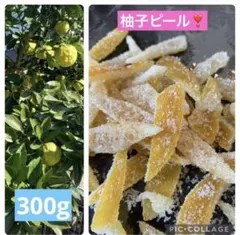 手作り❣️柚子ピール　300g❣️のサムネイル