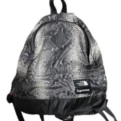 Supreme THE NORTH FACE　ヘビ柄リュック