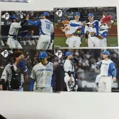 北海道日本ハムファイターズ 山﨑福也投手 伏見寅威選手 2024ハイライトフォト