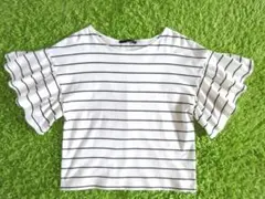 Item thumbnail for item 90481251-715a-438c-b316-96536082a74d