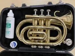 2026年最新】ポケットトランペット ジュピターの人気アイテム - メルカリ