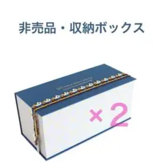 近沢レース　収納ボックス 「IREMONO」　2箱セット