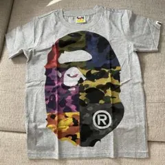 Item thumbnail for item c6c27151-7b0f-464e-9e04-15ebee4a8a3c