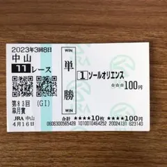 ソールオリエンス皐月賞現地馬券他のサムネイル