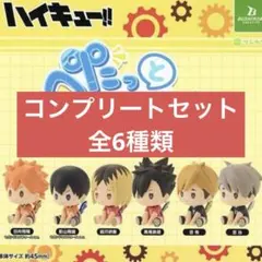 ハイキュー!! ぺたっとねじまきますこっと vol.2 全6種コンプリートセット
