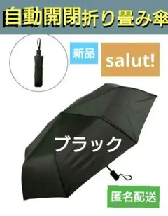 折りたたみ傘 傘