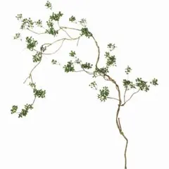 Item thumbnail for item bec77c47-55e0-4d00-b218-e489e4f6b900