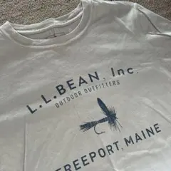 Item thumbnail for item 0e610589-fc7f-4d9d-ab3b-183da2281c49