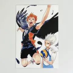 【即購入可】ハイキュー‼︎展 ポストカード 日向翔陽 星海光来