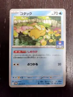 コダック ジムプロモ