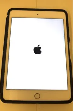 iPad mini (第5世代) 256GB WiFi バッテリー容量100%