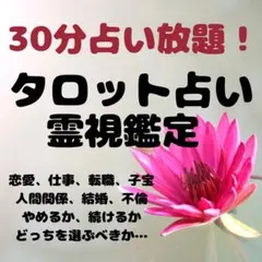 【今すぐ鑑定OK】30分占い放題！チャット鑑定！タロット霊視鑑定