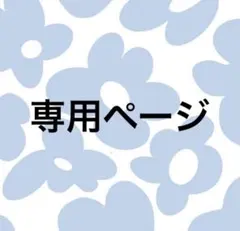 専用ページ
