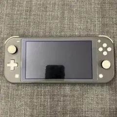 ゆ*ー様 Switch Lite グレー 本体のみ 動作確認済み カバー付き
