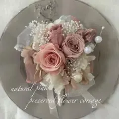 Item thumbnail for item ec529663-1541-40c8-a9de-1967690b768e