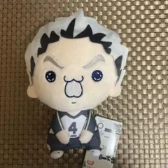 ハイキュー！！ もちぴこぬいぐるみ 木兎光太郎 即購入可