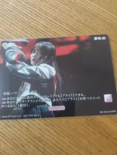 ビルディバイド 櫻坂46 PRテリトリーカード プロモーションパック 未