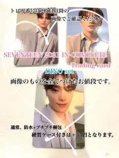 SEVENTEEN 2021 IN-COMPLETE DINO ディノ