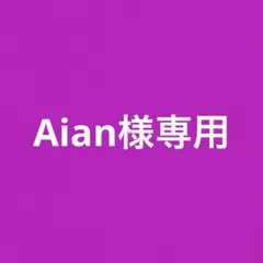 発送は3/24で終了！✩Aian✩様 リクエスト 2点 まとめ商品