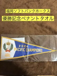 2024 優勝記念ペナントタオル