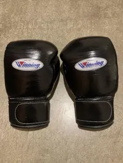 Item thumbnail for item fd9c4d16-0122-42b1-85fe-7352d4e185dc