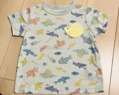 ask様 リクエスト 2点 まとめ商品