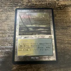 湿地の干潟　foil 3枚 川崎 / 商品詳細ページ