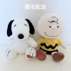ユニバ　スヌーピー　チャーリー　ぬいぐるみ　２つセット　PEANUTS