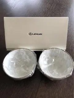 Item thumbnail for item b939d276-4e1c-4018-bde7-04ba77c0eb94