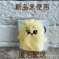 Item thumbnail for item 39ff85ae-b8f8-4d2c-8884-342d12495bfc