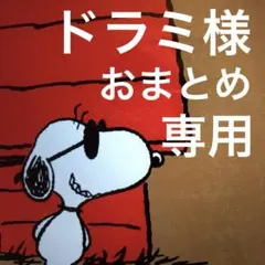 ドラミ様 リクエスト 4点 まとめ商品