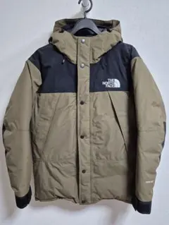 THE NORTH FACE ダウン 希少 ビーチグリーン　ND91837