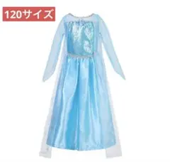 ディズニープリンセス おしゃれドレス アナと雪の女王 エルサ