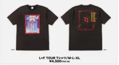 DOBERMAN INFINITY L+F TOUR Tシャツ/GRAY XL