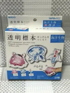 2026年最新】透明標本 キットの人気アイテム - メルカリ