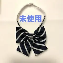 Item thumbnail for item 99ec6b00-0538-4b49-ae9e-938f7cea21fb