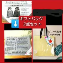 【すぐ発送】ギフトバッグ 2点セット 紙袋 ビニール付き + 不織布 巾着