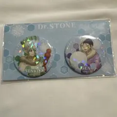 Dr.STONE 缶バッジ 千空 ゲン 2種セット - メルカリ