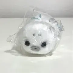 新品未開封 おもちちゃん ぬいぐるみ