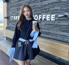 【新品未使用】Bibiy. ANGELIQUE KNIT 未使用 Bibiy ビビィ ANGELIQUE KNIT 異素材ドッキング 袖リボン