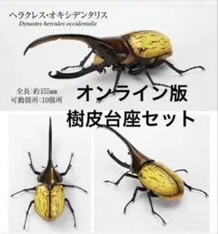 【オンライン版】ヘラクレス・オキシデンタリス　かぶとむし09 いきもの大図鑑のサムネイル