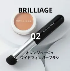 ブリリアージュ カモフラージュ コンシーラーチーク01番&ワイド
