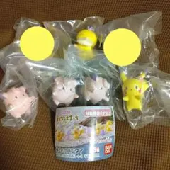 ポケモン まえならえまーち ピカチュウ ピッピ コダック